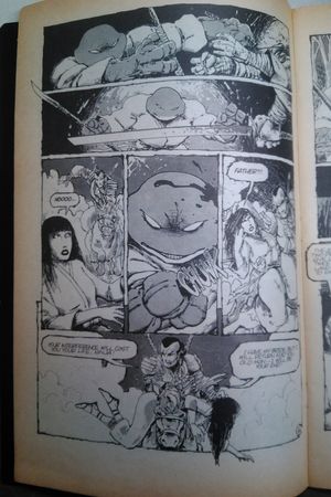 Teenage Mutant Ninja Turtles #17 image number 2