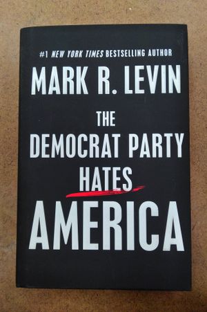 The Democrat Party Hates America image number 0
