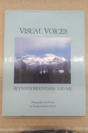 Visual Voices image number 0