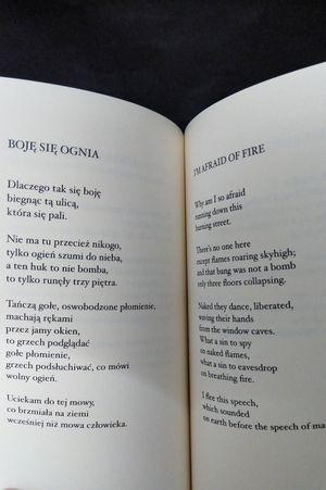 Building the Barricade and Other Poems of Anna Swir image number 2