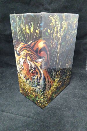 Jim Corbett Collection image number 0