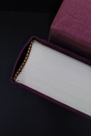 Dune image number 2