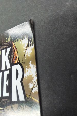 Black Panther #1 (2009) image number 2