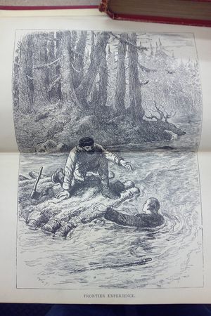 David Crockett image number 1