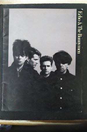 Echo & The Bunnymen image number 0