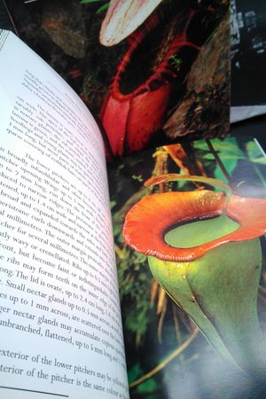 Pitcher Plants of the Old World Two Volume Set image number 1