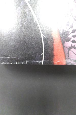 A Court of Thorns and Roses image number 1
