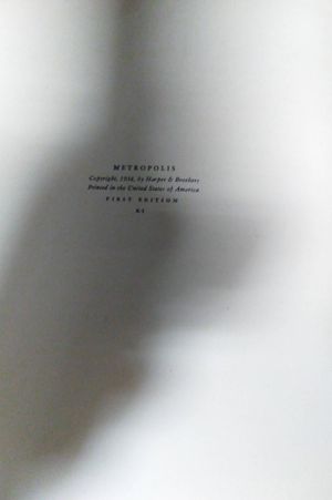 Metropolis: An American City in Photographs image number 1