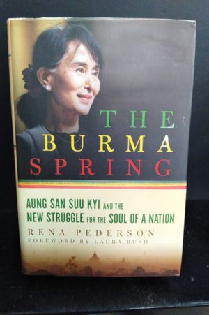 The Burma Spring: Aung San Suu Kyi and the New Struggle for the Soul of a Nation image number 0