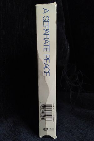 A Separate Peace [VHS] image number 2