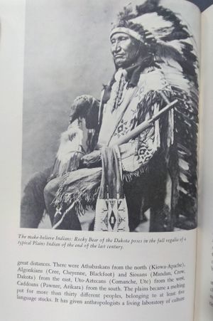 My Rise To Civilization: As Shown by the Indians of North America from Primeval Times to the Coming of the Industrial State image number 2