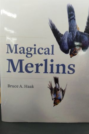 Magical Merlins image number 0