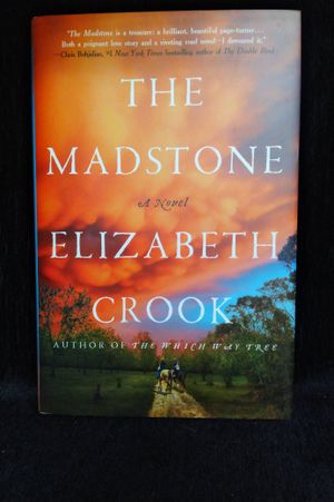 The Madstone image number 0