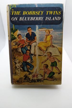 The Bobbsey Twins on Bluebarry Island image number 0