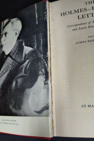 The Holmes-Einstein Letters image number 2