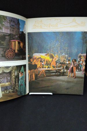 The Wonderful World Of The Brothers Grimm - Presented by Metro Goldwyn Mayer and Cinerama image number 2