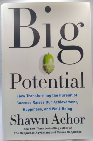 Big Potential: How Transforming the Pursuit of Success Raises Our Achievement, Happiness, and Well-Being image number 0