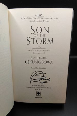 Son of the Storm image number 2