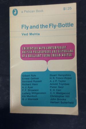 Fly and the Fly-Bottle image number 0