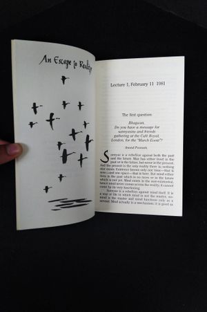 The Wild Geese and The Water: Responses to Questions from Disciples and Visitors image number 2