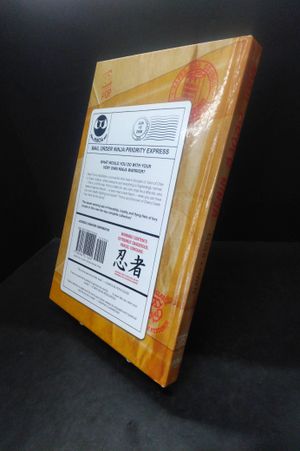 Mail Order Ninja Ninja Master Edition image number 0