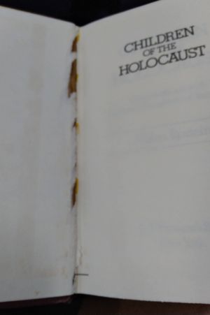 Children of the Holocaust image number 1