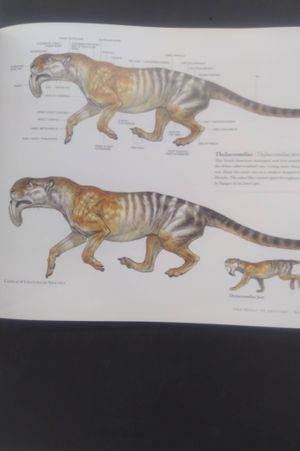 Science of Creature Design: understanding animal anatomy image number 1