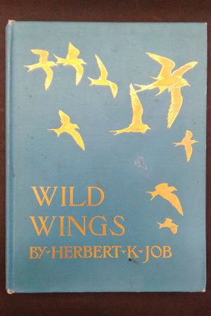 Wild Wings image number 0