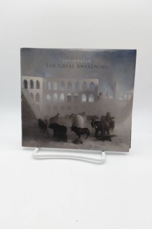 The Great Awakening image number 0