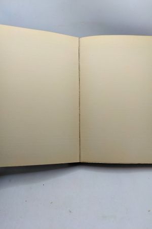 Blank Book, Publisher's Example Copy or Misprint image number 1