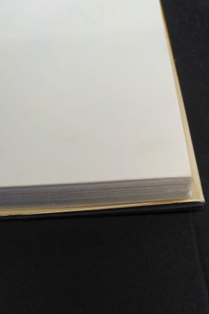 The Urth of the New Sun by Gene Wolfe (1987-11-01) image number 2