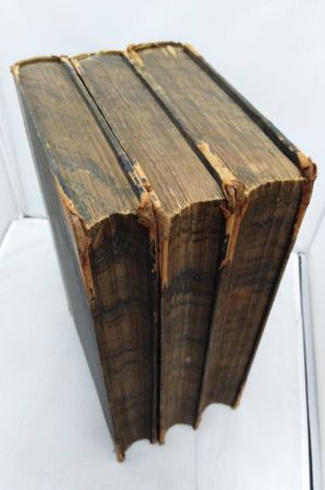 The Complete Works of Shakspere [Shakespeare] Revised From the Original Editions with Historical and Analytical Introductions to Each Play image number 1