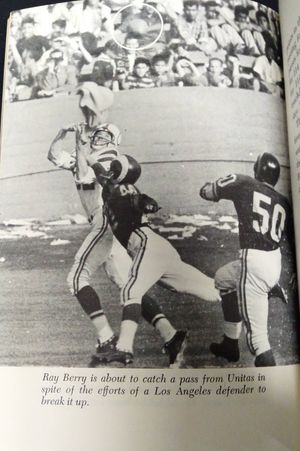 Championship Teams of the NFL image number 0
