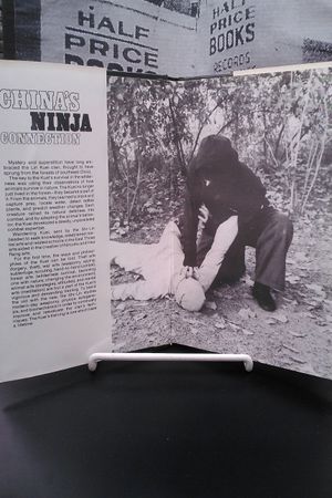 Chinas Ninja Connection image number 1
