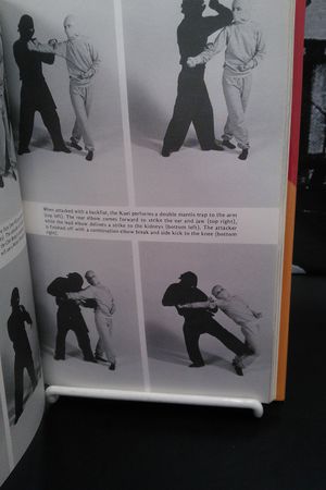 Chinas Ninja Connection image number 2