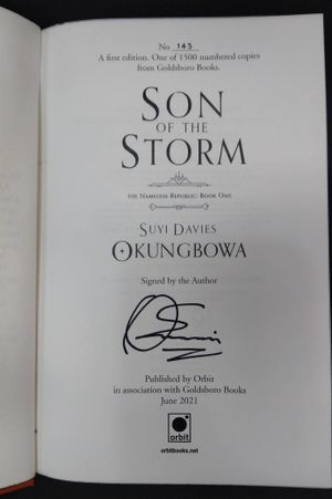 Son of the Storm image number 1