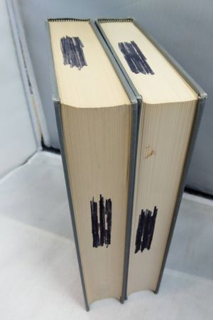 Developments to the Rorschach Technique in 2 Volumes image number 2