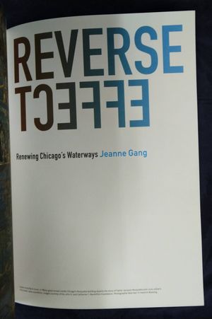 Reverse Effect: Renewing Chicago's Waterways image number 1