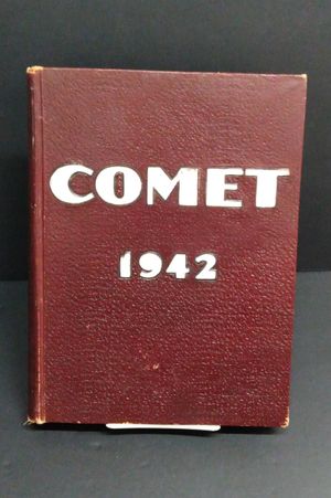 Comet image number 0