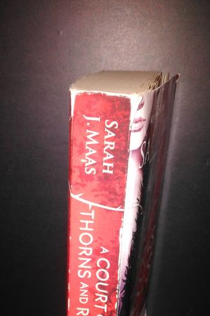 A Court of Thorns and Roses image number 2