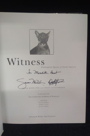 Witness image number 1