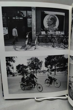 Chinese Encounters image number 2