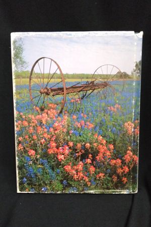 Texas in Bloom image number 1