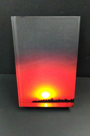 The Bone Tree: A Novel (Penn Cage Novels) image number 0