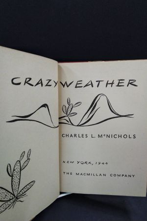 Crazy Weather image number 1
