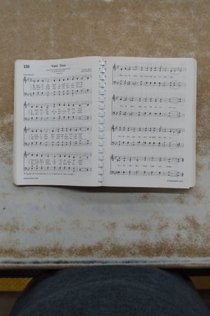 Hymns for the Family of God image number 1