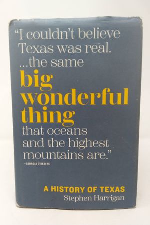 Big Wonderful Thing: A History of Texas image number 0