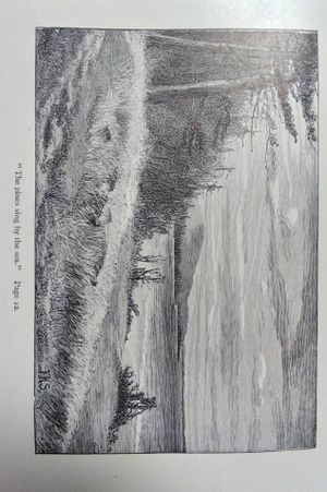 The Poetical Works of Bret Harte image number 2