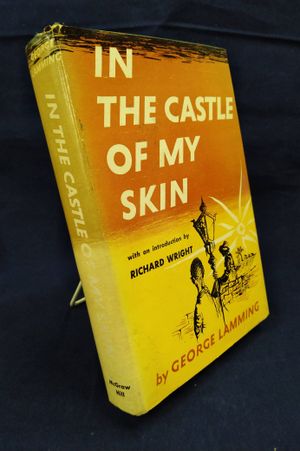In the Castle of My Skin image number 0