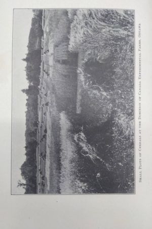 Field Crop Production image number 1